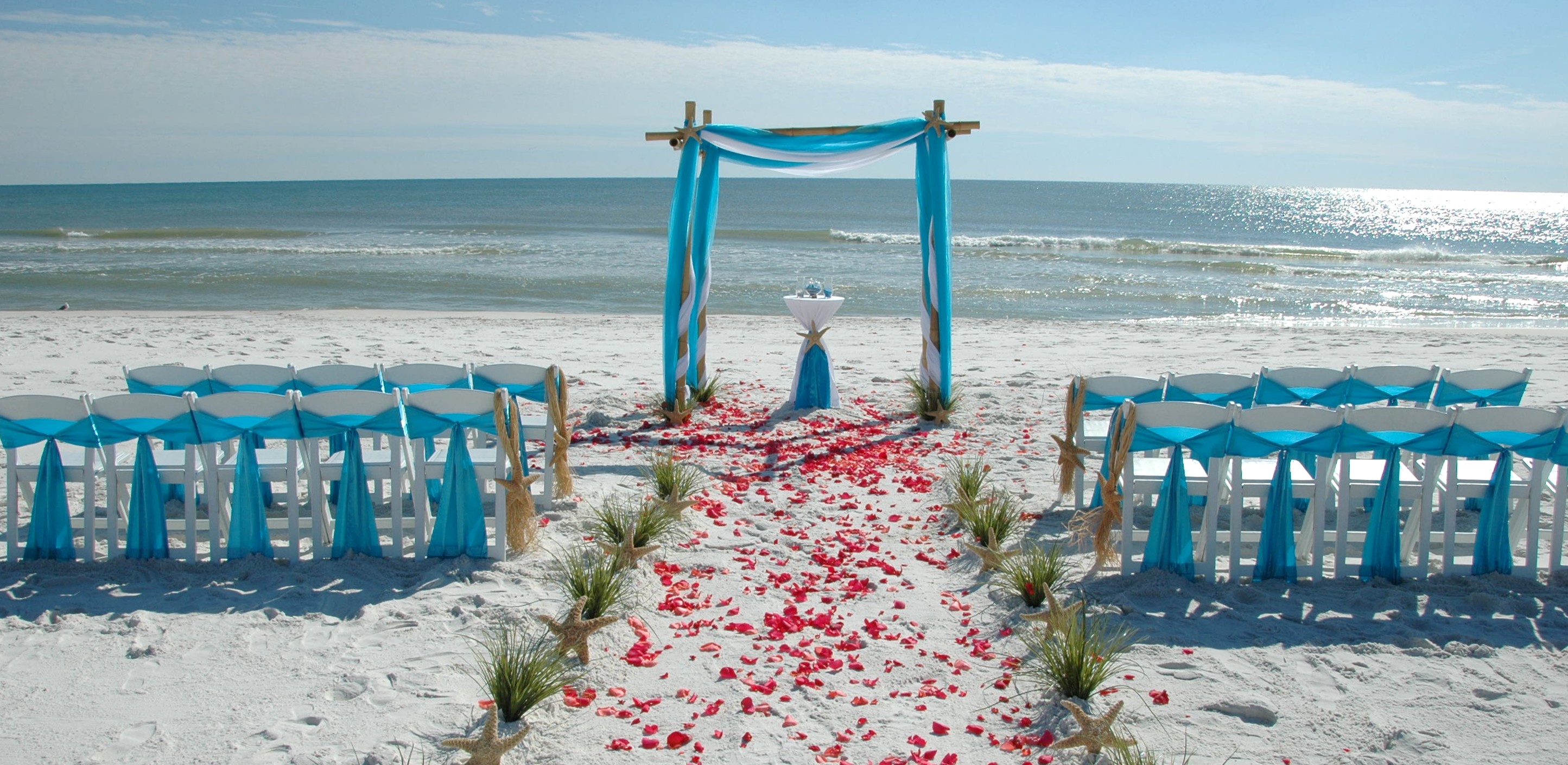 The Beach : beach weddings